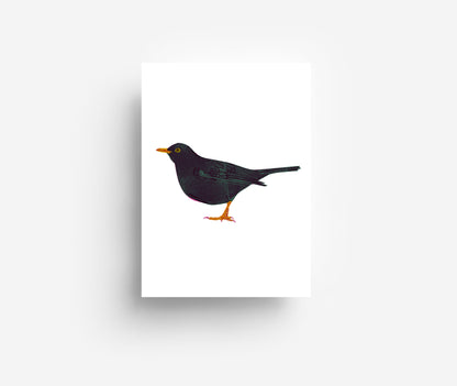 Vogel Postkarte Set (12 Karten) DIN A6