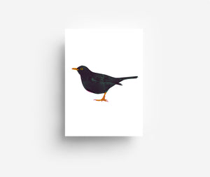 Birds Postcard Set (12 Cards) DIN A6