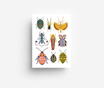 Käfer Mix Postkarte DIN A6