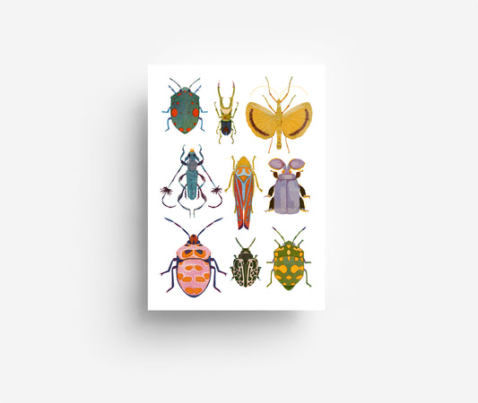 Käfer Mix Postkarte DIN A6