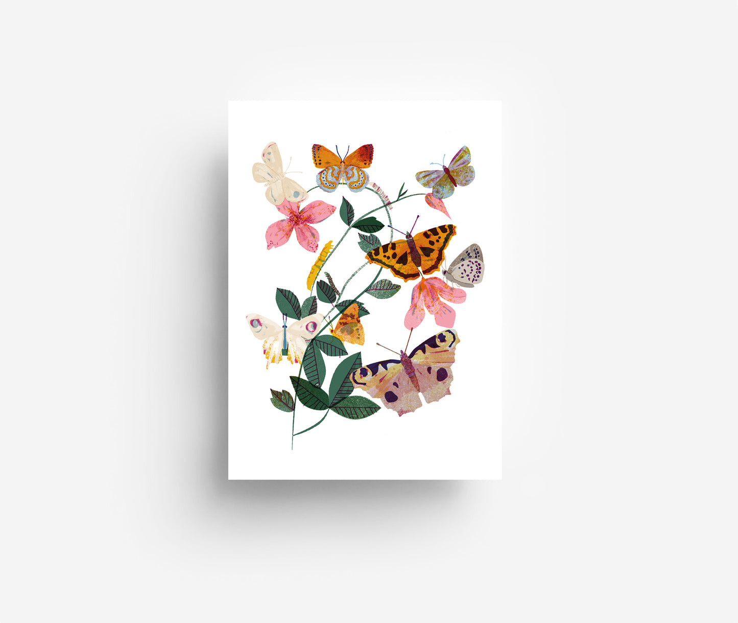 Schmetterlingsblume Postkarte DIN A6