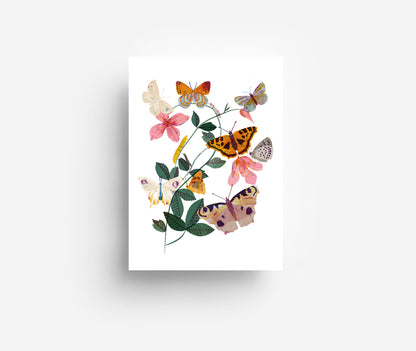 Schmetterlingsblume Postkarte DIN A6