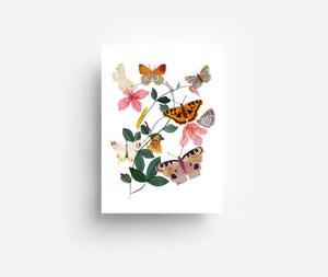 Butterfly Plant Postkarte DIN A6