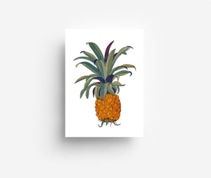 Fruits Postcard Set (12 Cards) DIN A6