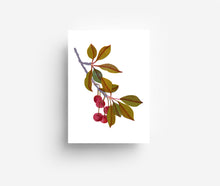 Load image into Gallery viewer, Fruits Postcard Set (12 Cards) DIN A6