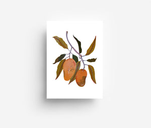 Früchte Postkarten Set (12 Karten) DIN A6
