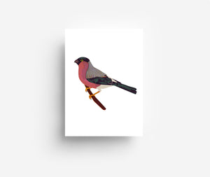 Birds Postcard Set (12 Cards) DIN A6