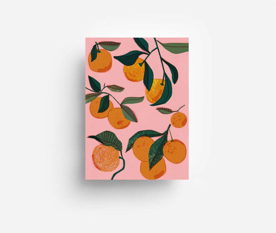 Pink Oranges Postcard DIN A6