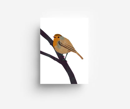 Vogel Postkarte Set (12 Karten) DIN A6