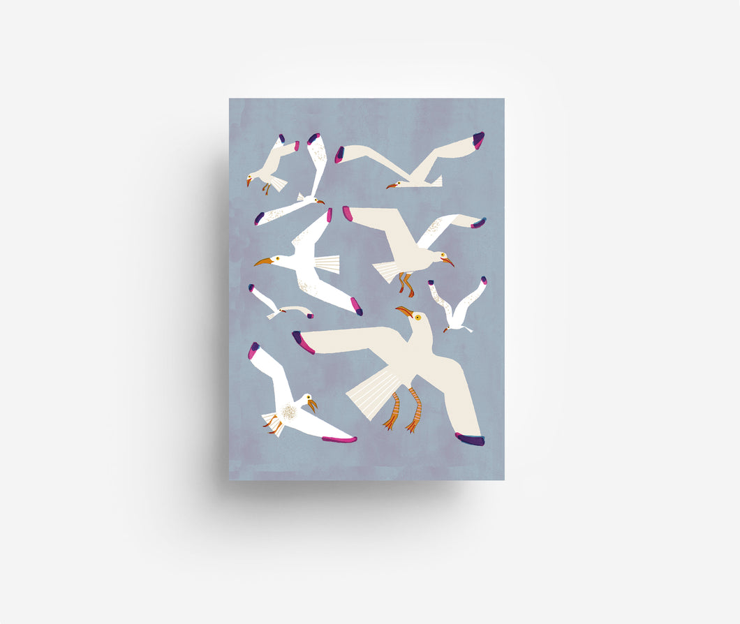 Seagulls  Postcard DIN A6
