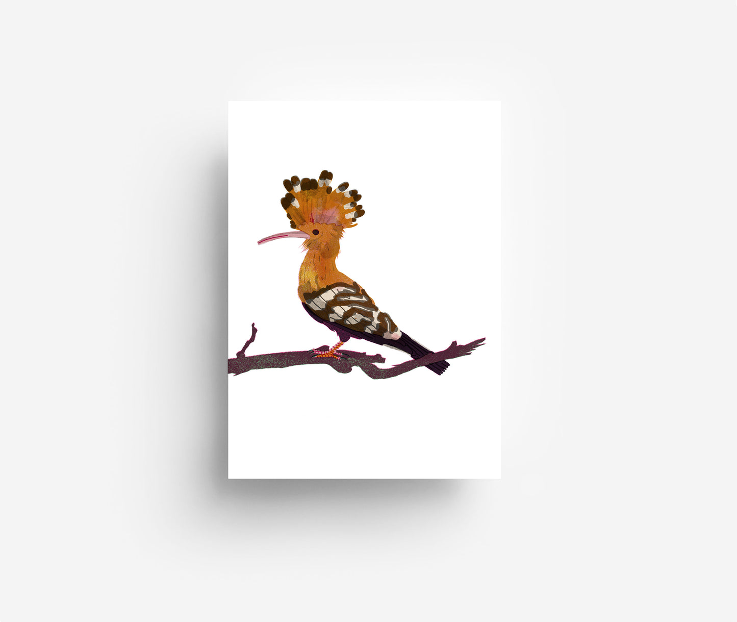 Vogel Postkarte Set (12 Karten) DIN A6