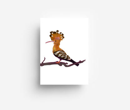 Vogel Postkarte Set (12 Karten) DIN A6