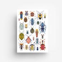 Laden Sie das Bild in den Galerie-Viewer, Bugs Mix Digital Print DIN A3 jungwiealt