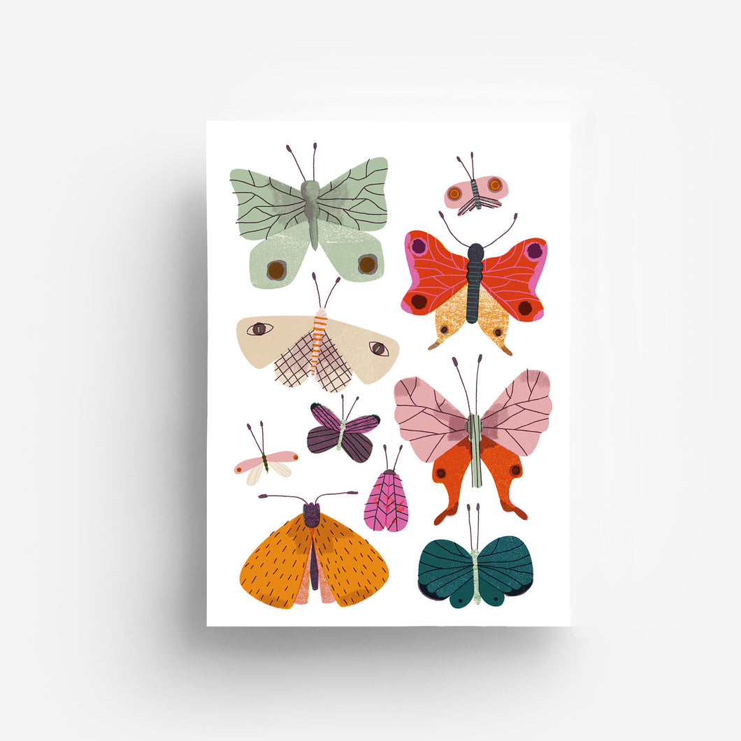 Butterflies Digital Print DIN A3 jungwiealt
