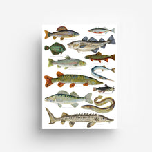 Load image into Gallery viewer, Fish Print DIN A3 jungwiealt