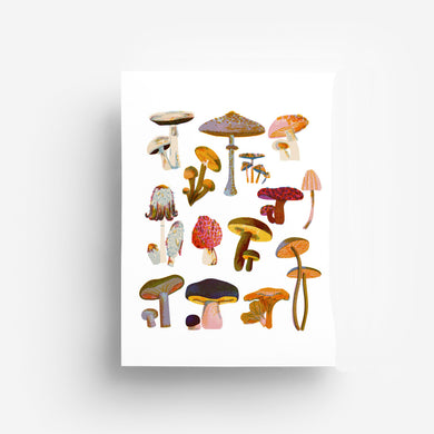 Mushrooms DIN A4 Print jungwiealt