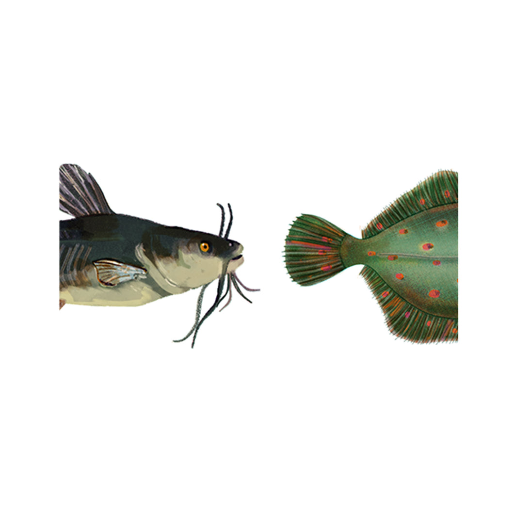 Fish Washi Tape jungwiealt