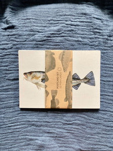 Fish Postcard Set (12 Cards) DIN A6