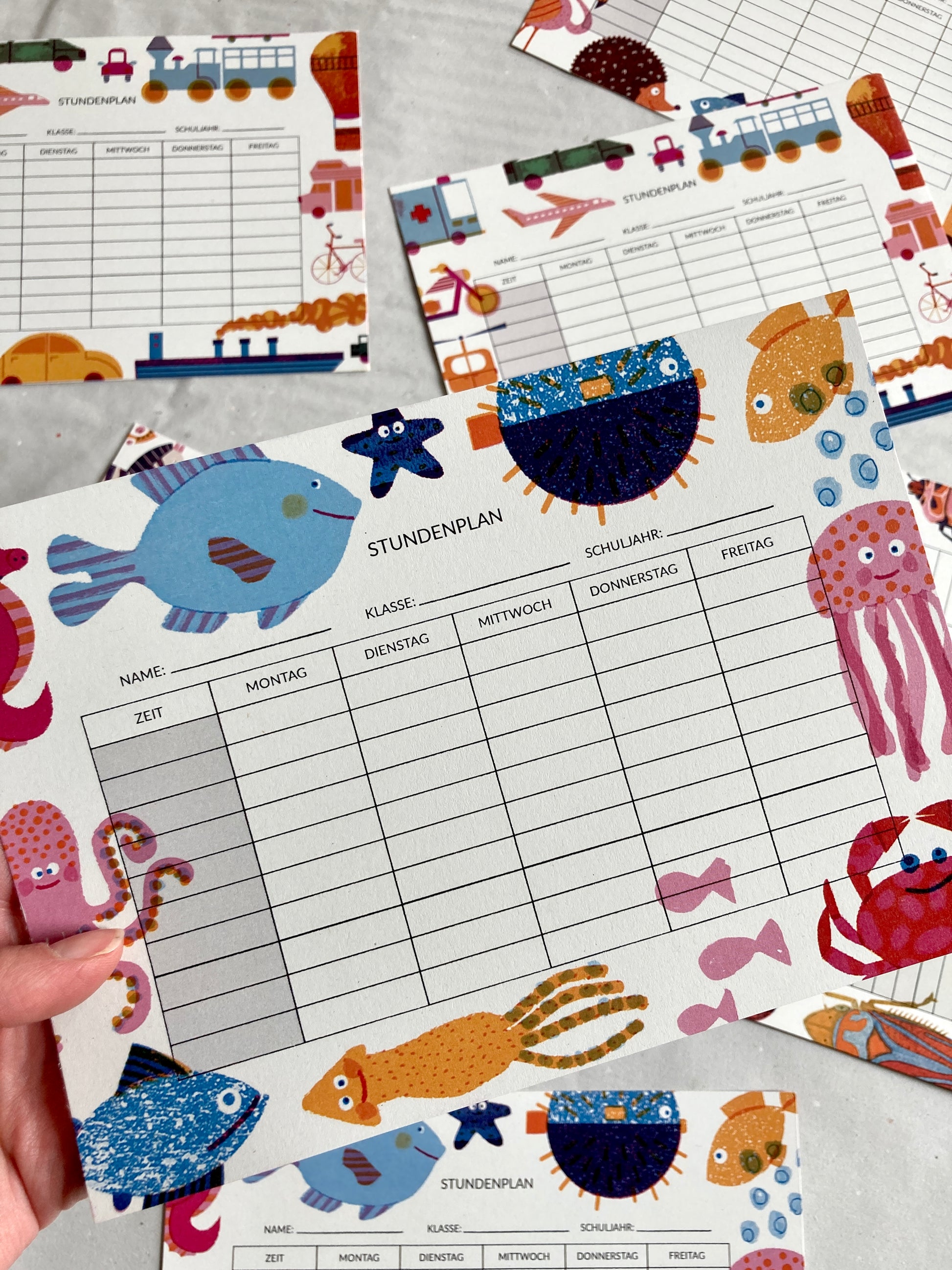 selection of fun and bold timetable jungwiealt