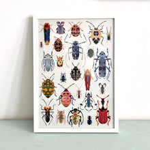 Load image into Gallery viewer, framed Bugs Mix Digital Print DIN A3 jungwiealt