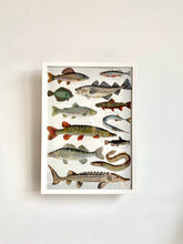 Load image into Gallery viewer, framed Fish Print DIN A3 jungwiealt